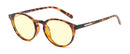 Attaché Reading Glasses